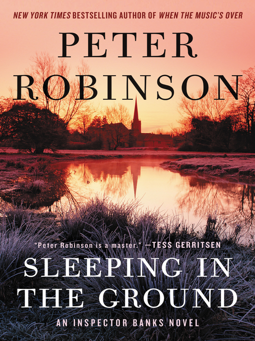 Cover image for Sleeping in the Ground
